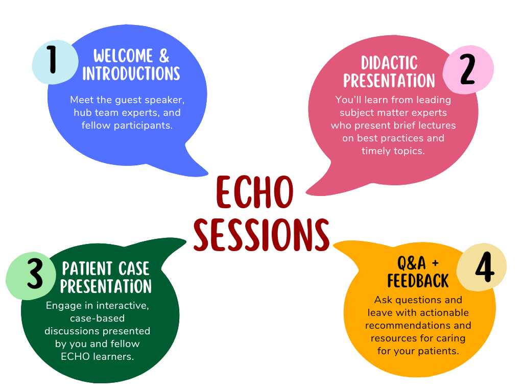 5 bubbles of information describing an echo session