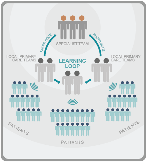 graphic of echo learning loop